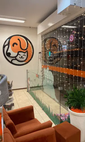 Recepção da clínica veterinária Vet Boff em Caxias do Sul